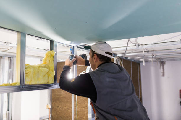 Best Home Insulation Services  in Carthage, TX