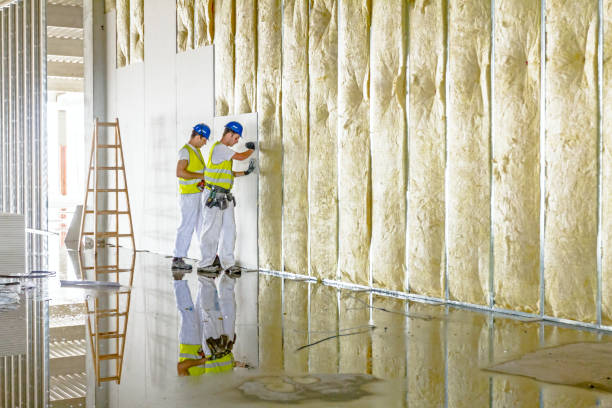 Best Insulation Replacement Services  in Carthage, TX